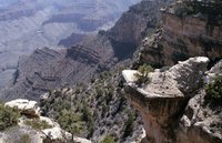 Shoshone Down into